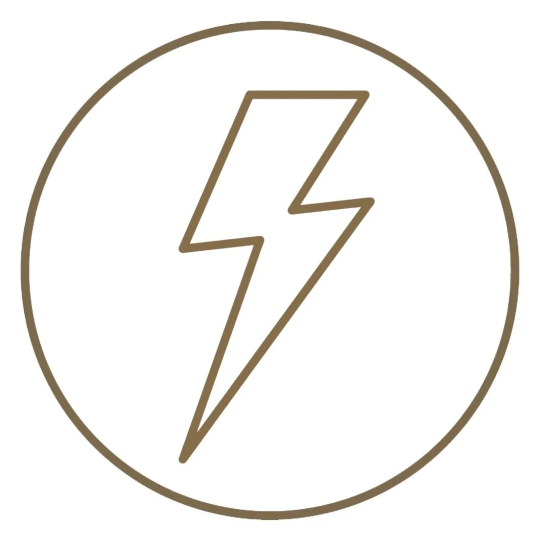 A circular icon with a brown outline and a lightning bolt symbol in the center.