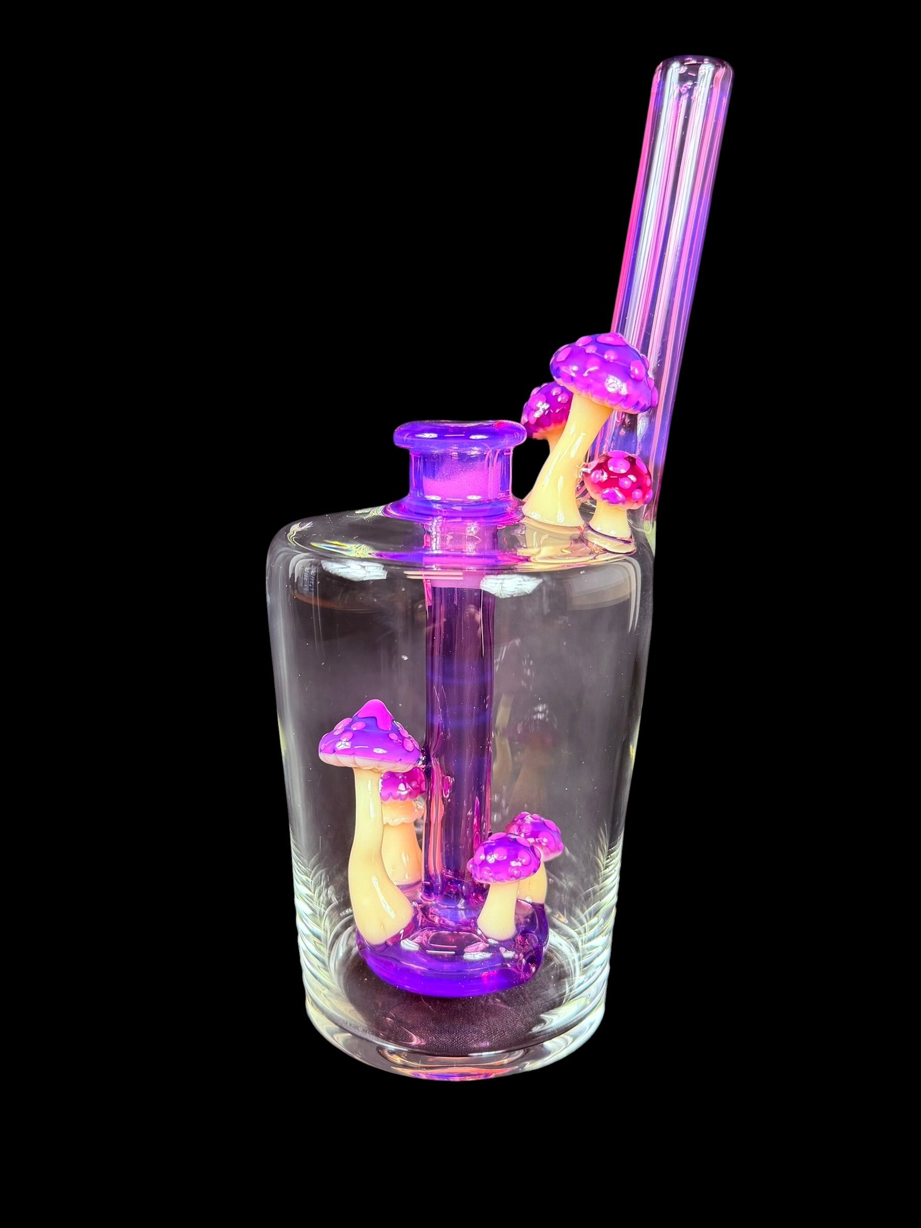 Mushroom Terrarium Cup Stargazer and Spring purple
