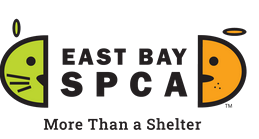 EBSPCA_Vendor.png