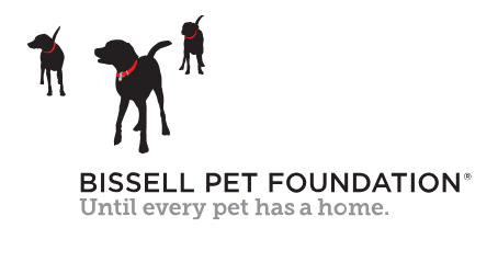 Bissell Foundation.png