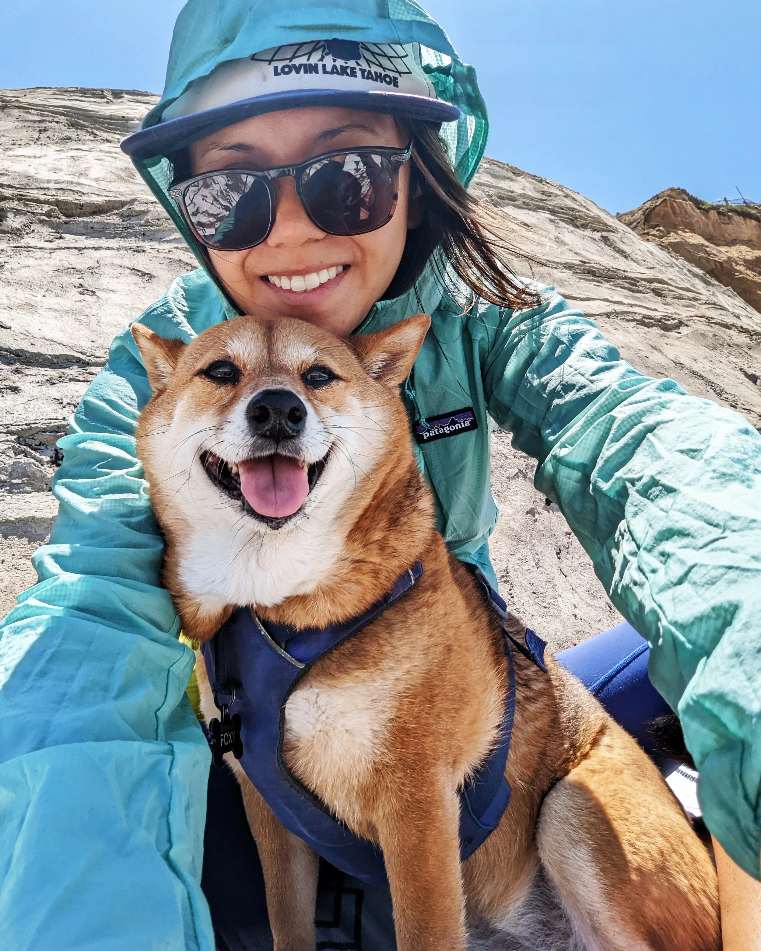 A smiling person in a teal Patagonia jacket and "Lovin Lake Tahoe" sun hat hugs a happy Shiba Inu wearing a blue harness, with rocky cliffs and clear blue sky in the background.