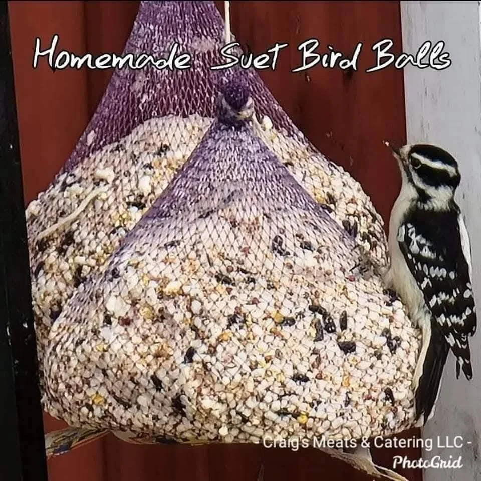 SUET BIRD BALLS