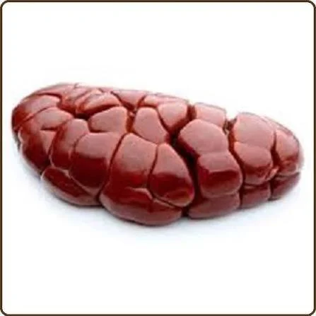BEEF KIDNEYS-*$1.50/LB*