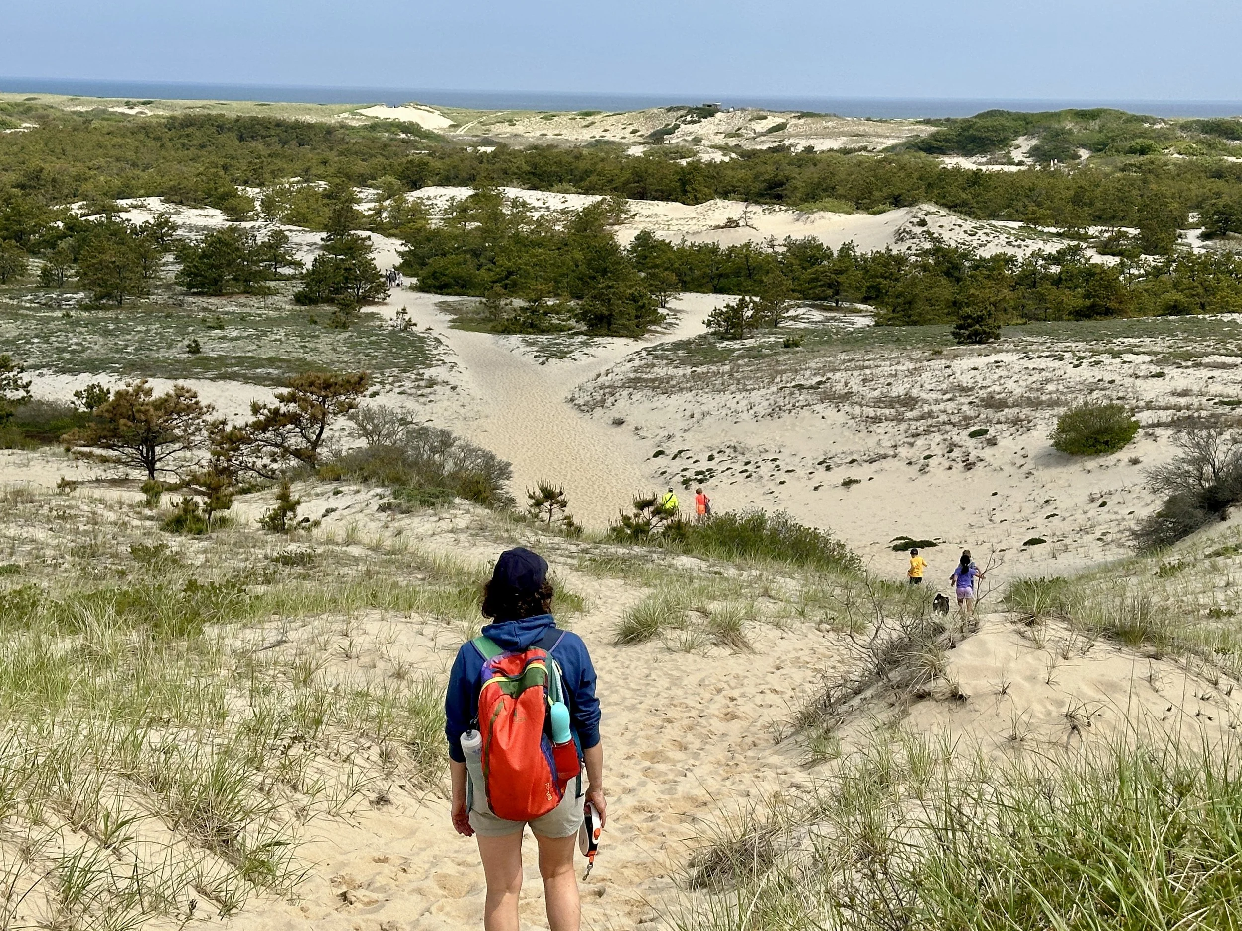 A group of people hiking down sandy dunes towards a beach with vegetation and the ocean in the background.