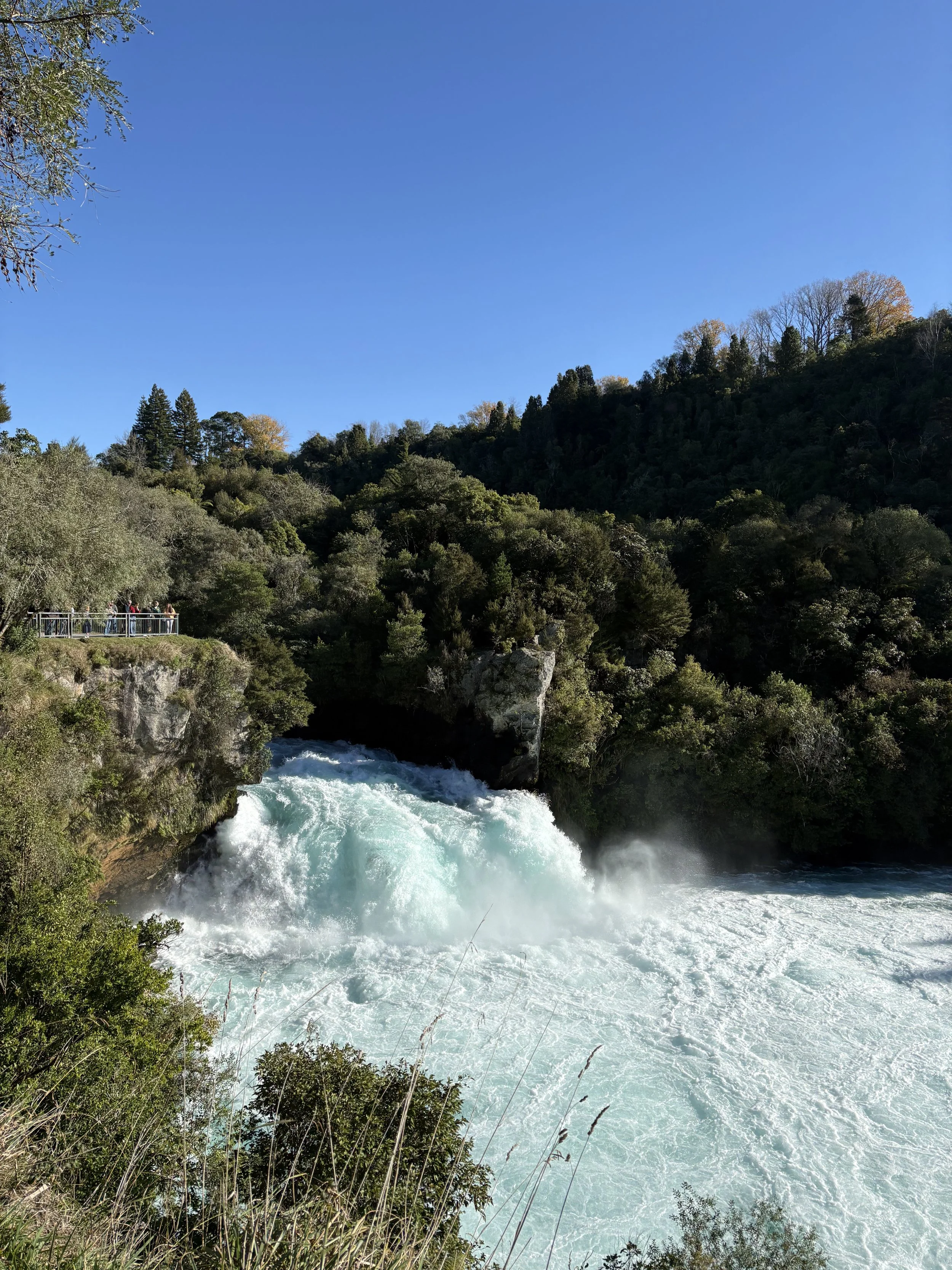 A river with white water rapids flowing between lush green trees and bushes, with a hill covered in trees in the background and a clear blue sky overhead.