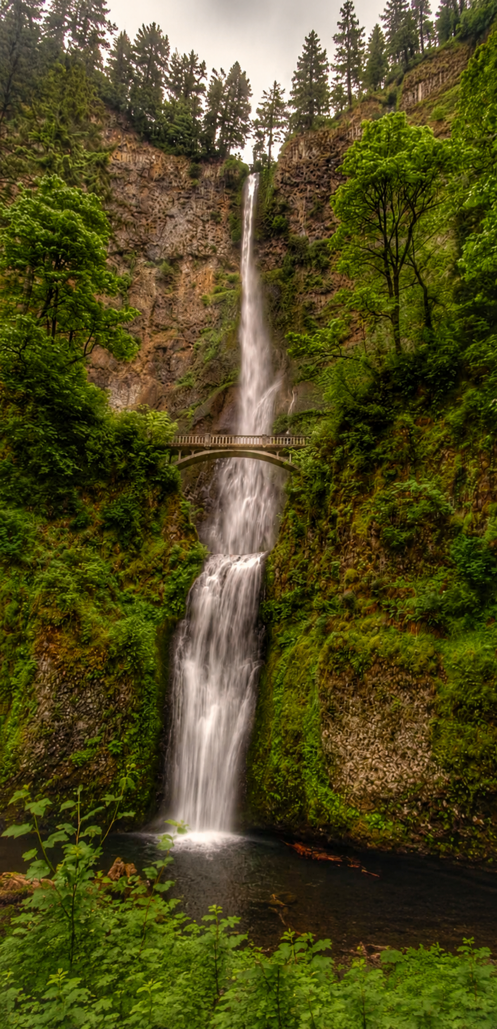 Waterfall flowing through a green forest, representing calm and grounding during EMDR therapy