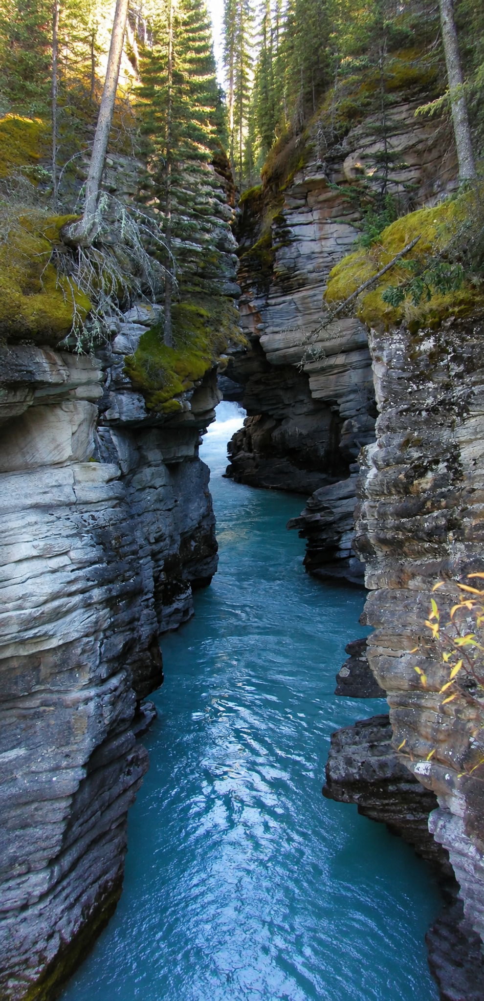 Layered sandstone canyon walls, representing depth and growth through psychotherapy