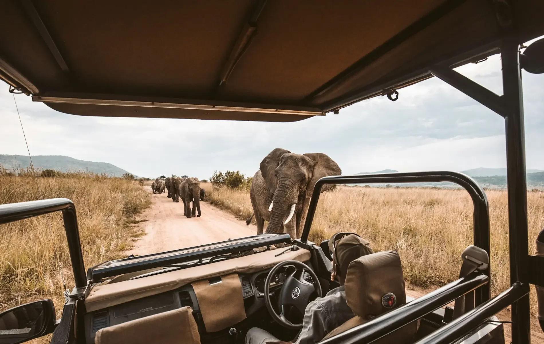View from an off-road vehicle showing a herd of elephants walking along a dirt road in a savannah landscape.