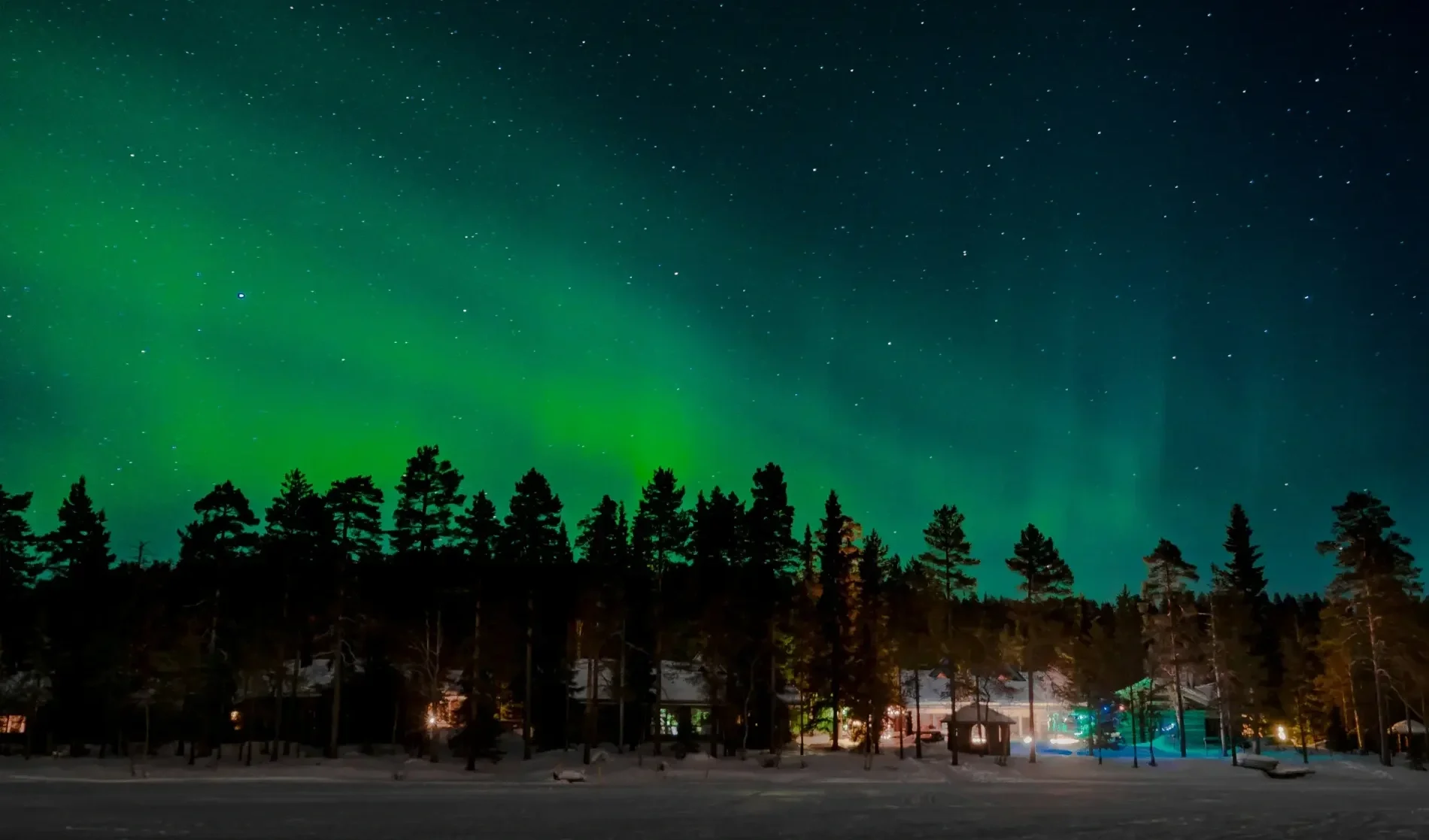 Nighttime scene of northern lights in green and blue hues above a snowy Lapland landscape with silhouettes of trees and small lights from houses.