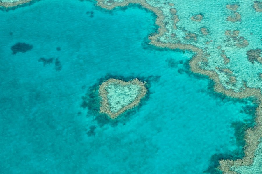 Aerial view of a heart-shaped coral reef in clear blue ocean water.
