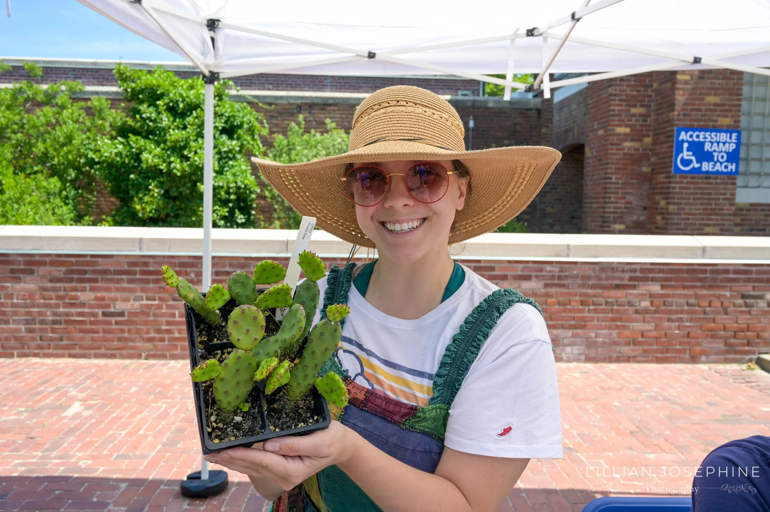 The Brightline Project