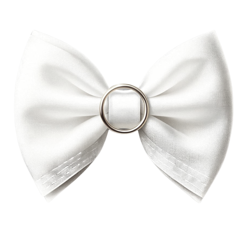 bow napkin.png