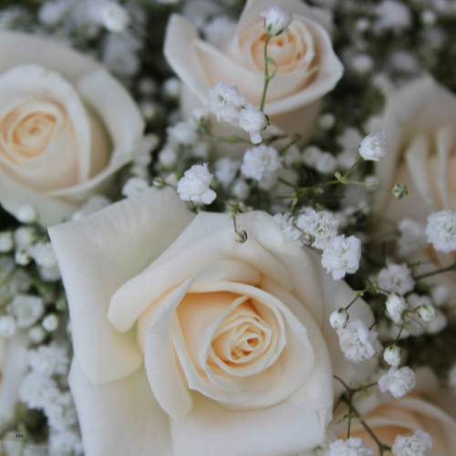 Candlelight & Holders