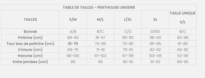 penthouse taille.jpg