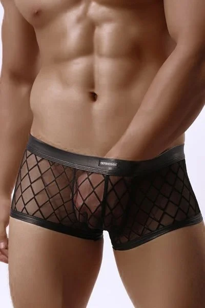 13831_400_boxer_noir_transparent.jpg