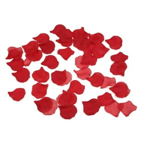 DIABLO PICANTE - 100 PÉTALES ROSES
