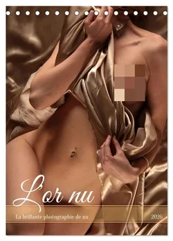 La brillante photographie de nu (Edition en allemand)
