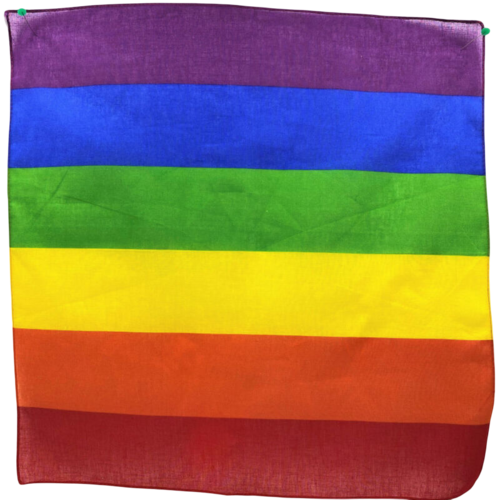 accessoires et objets LGBT +❤️🧡💛💚💙💜