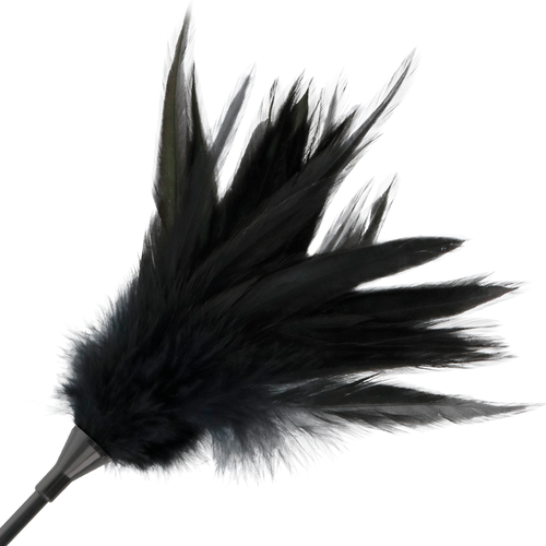 img_78855_0bd78f4d4e79e7631ba39f5762954bba_20.png