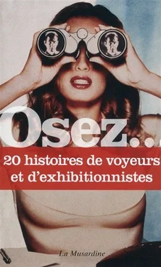 Osez 20 histoires de voyeurs et d'exhibitionnistes