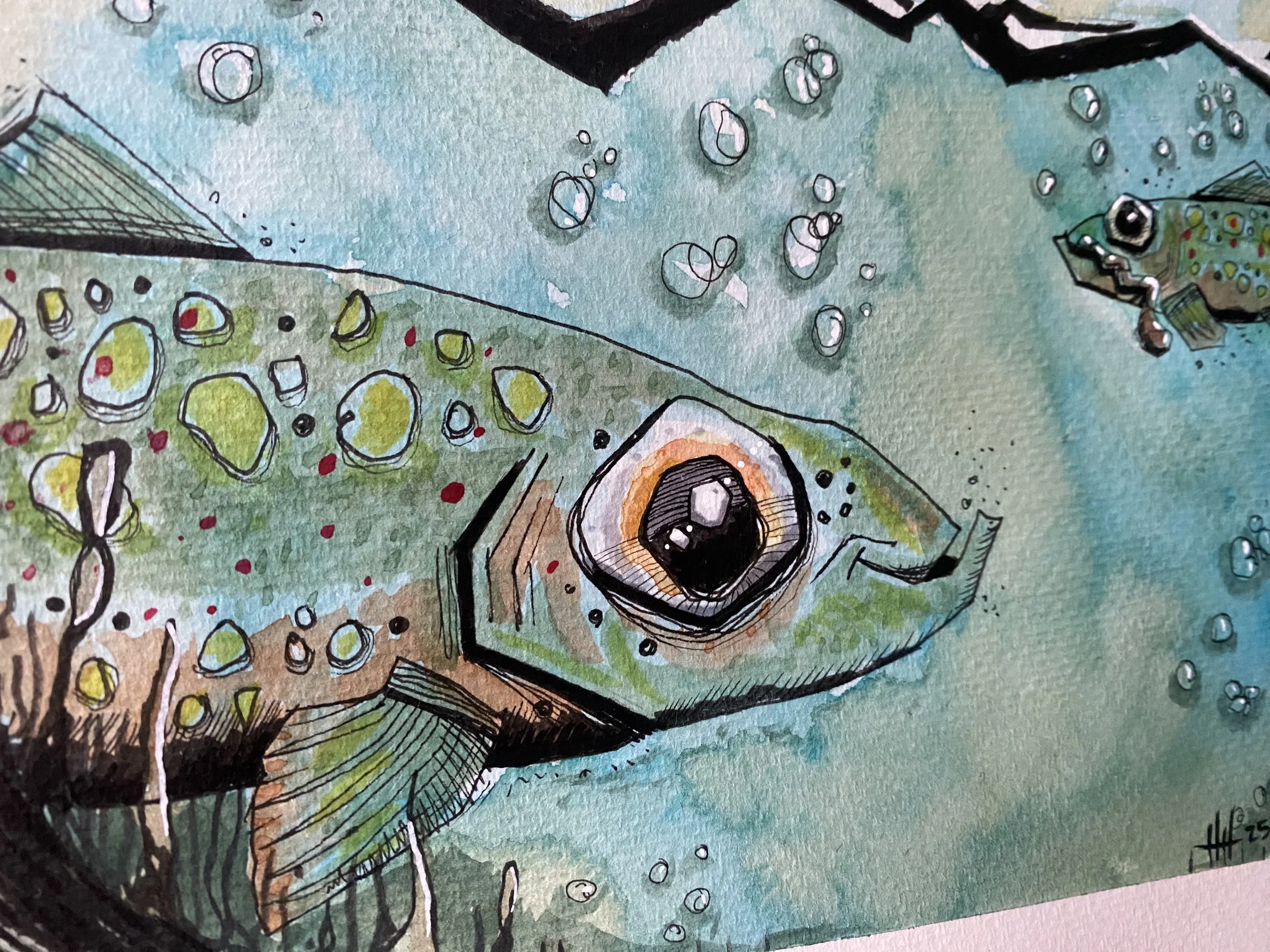 Stories We Still Tell