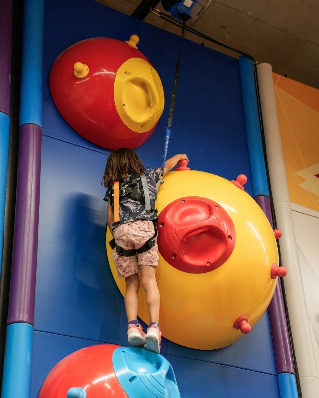 Auch die Kleinen k&ouml;nnen bei uns hoch hinaus! 🔥
Wer traut sich?

#movecity #aaffolternamalbis #kidsclimbing #indoorsport