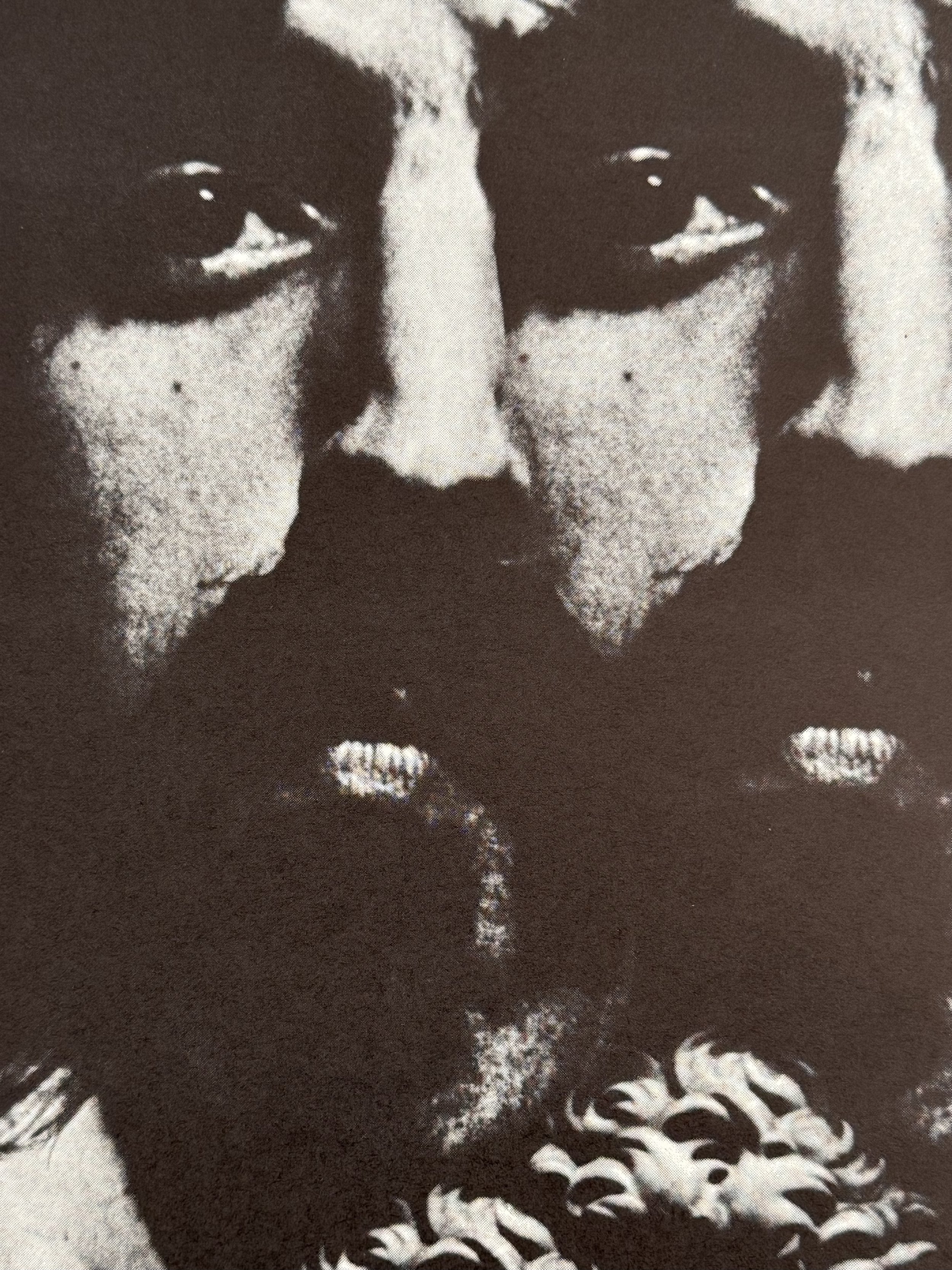 frank-zappas-poster2.jpeg