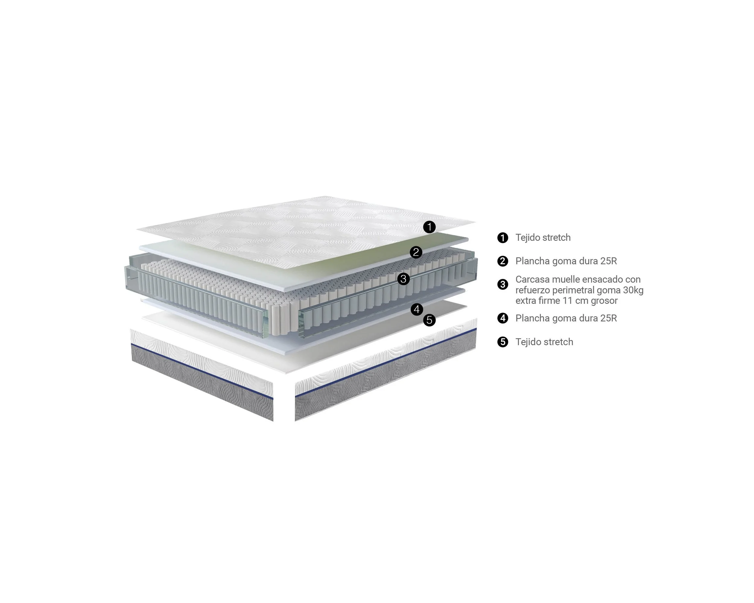 AXION 2023 v3 nucleos26.jpg