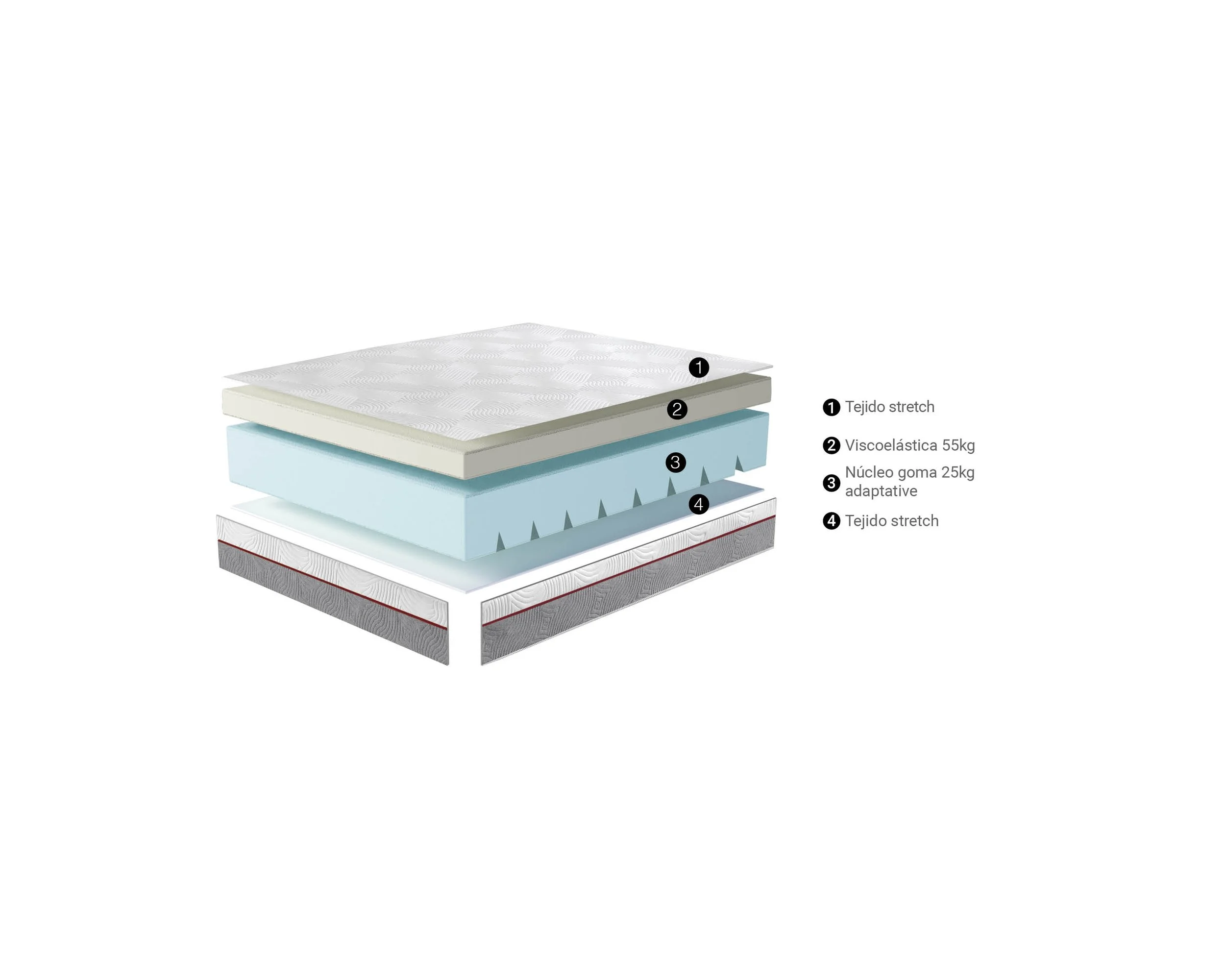 NEXUS 2023 v3 nucleos25.jpg