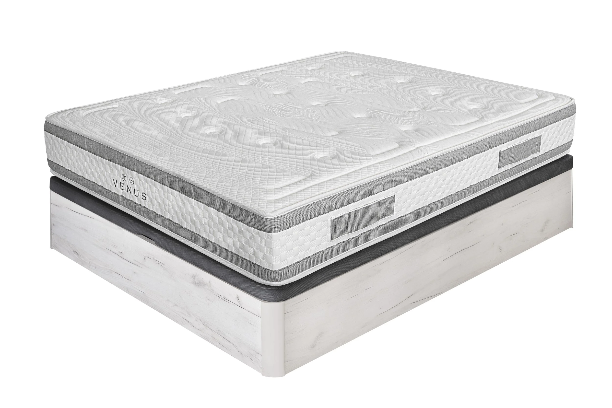 AZORIN _VenusV2 CAN03417-1 2 copia.jpg