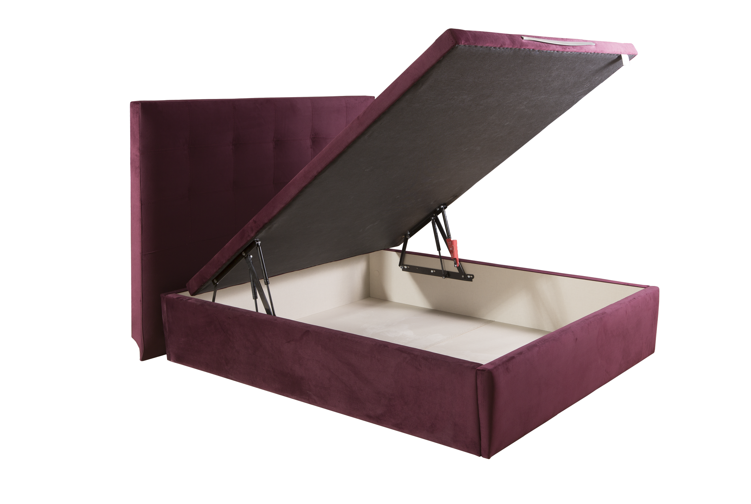 ALICIA ABIERTO (1).png