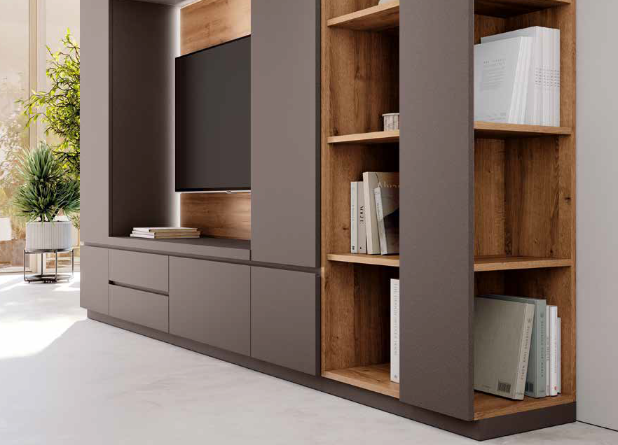Modern living room with gray and wood shelving unit, television, and books, near a window with potted plants.