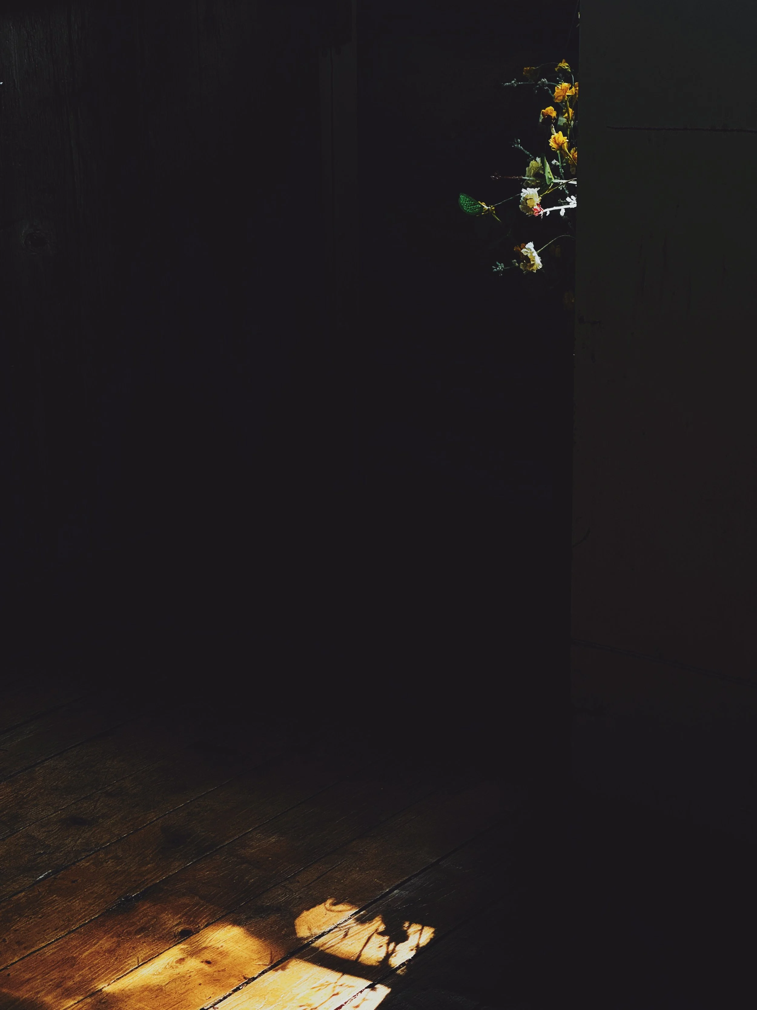 floralsunshine.JPG