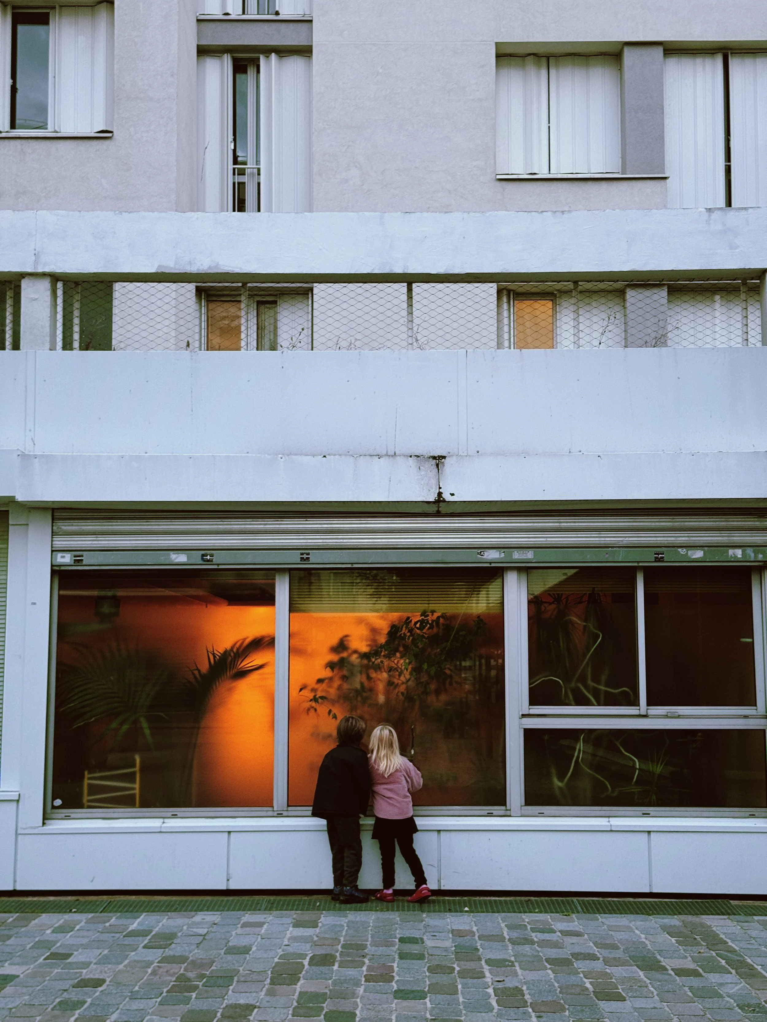 pariswindowgaze.JPG