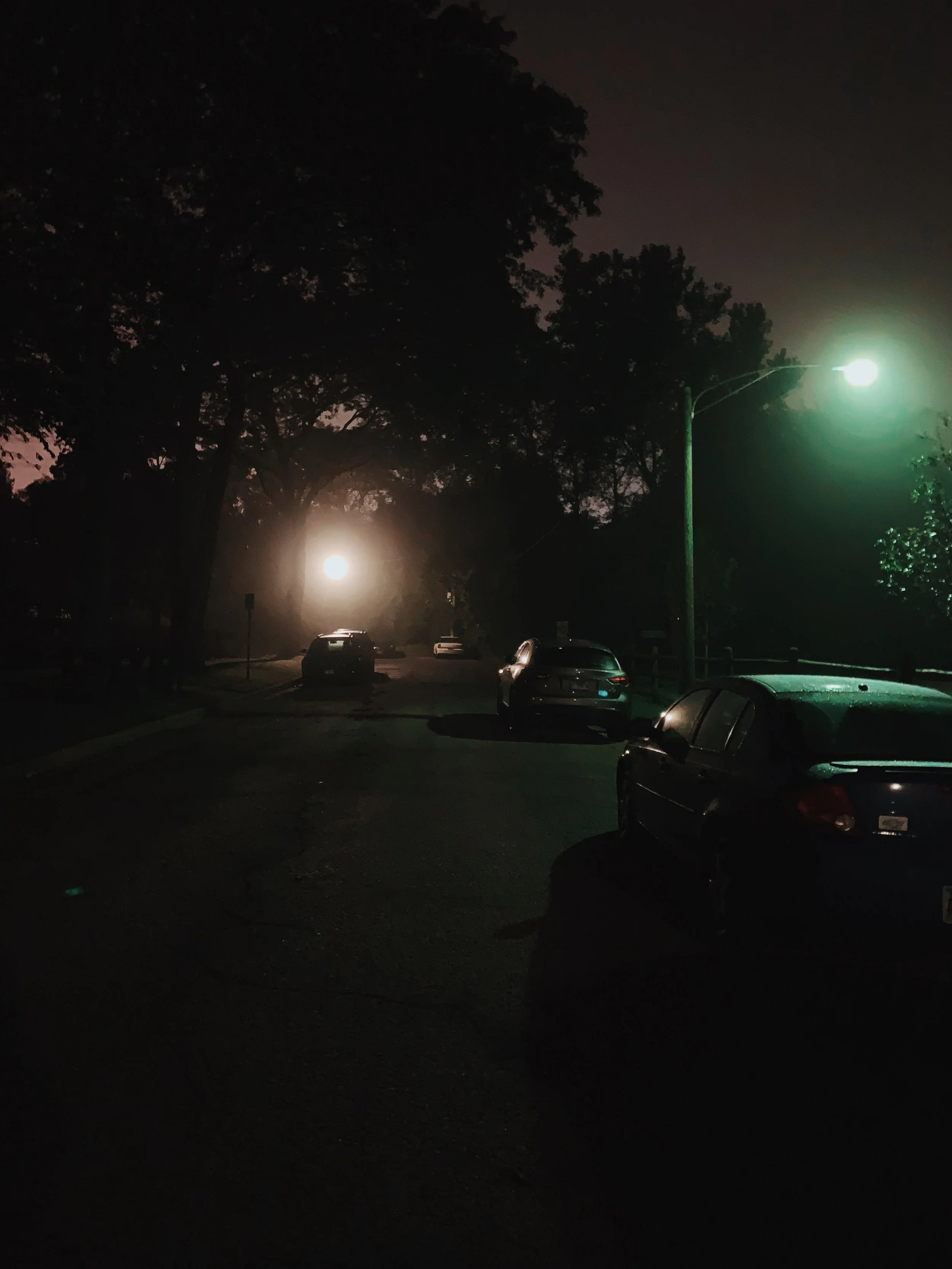 mulfordmistnocturne.jpg