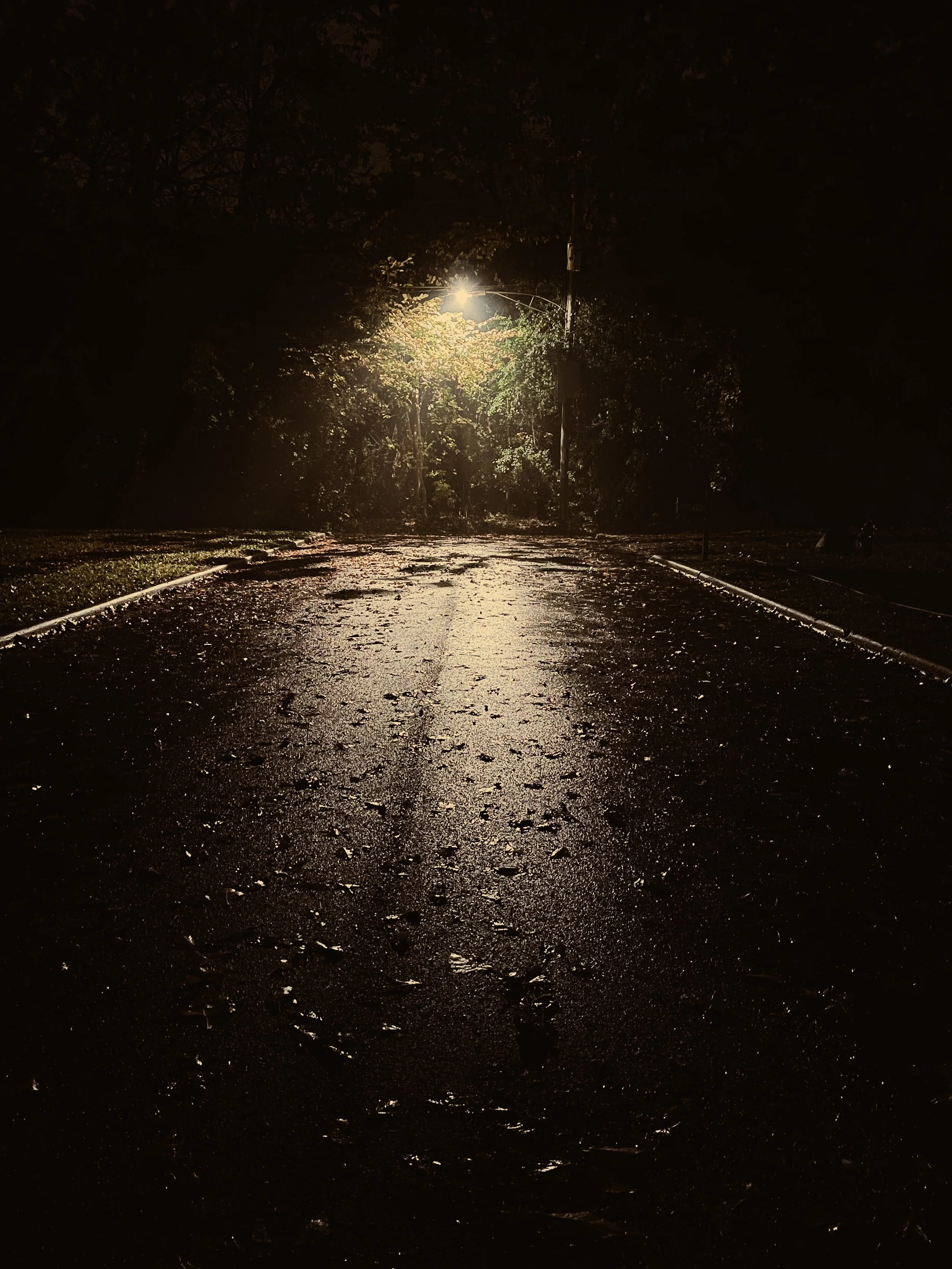 nocturnalstreet.jpg