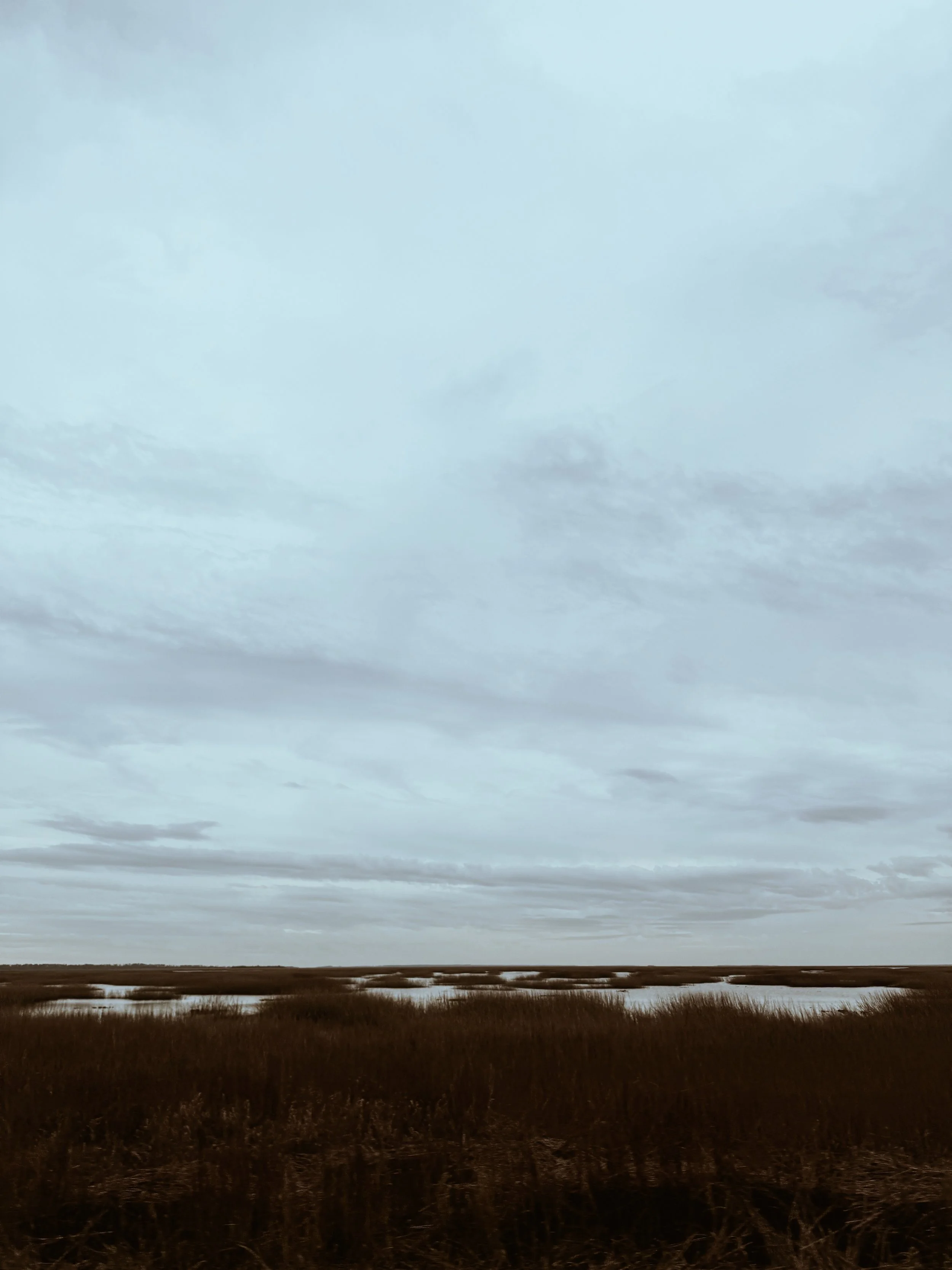 tybeelandscape.JPG
