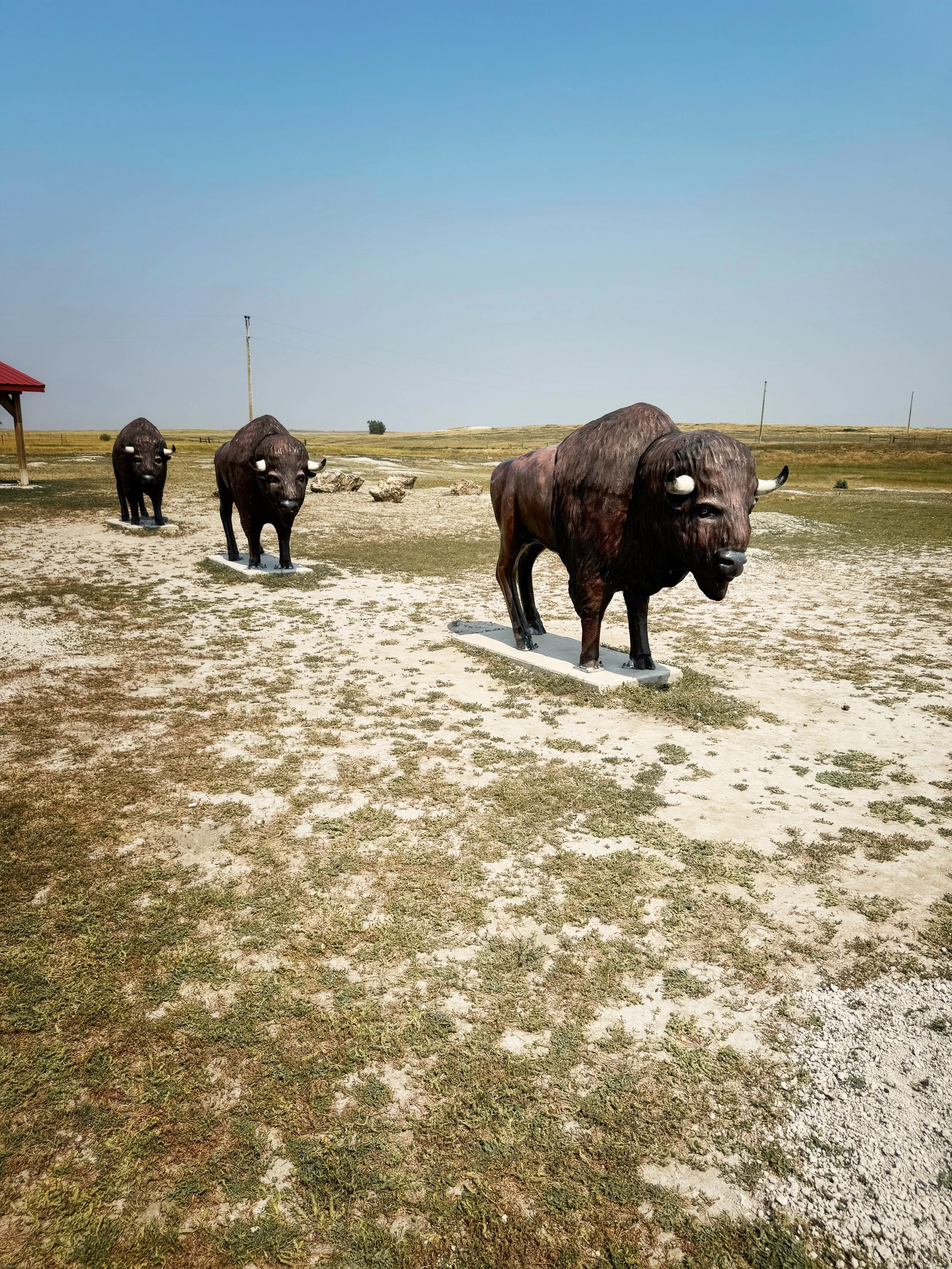 fauxbuffalow.jpg