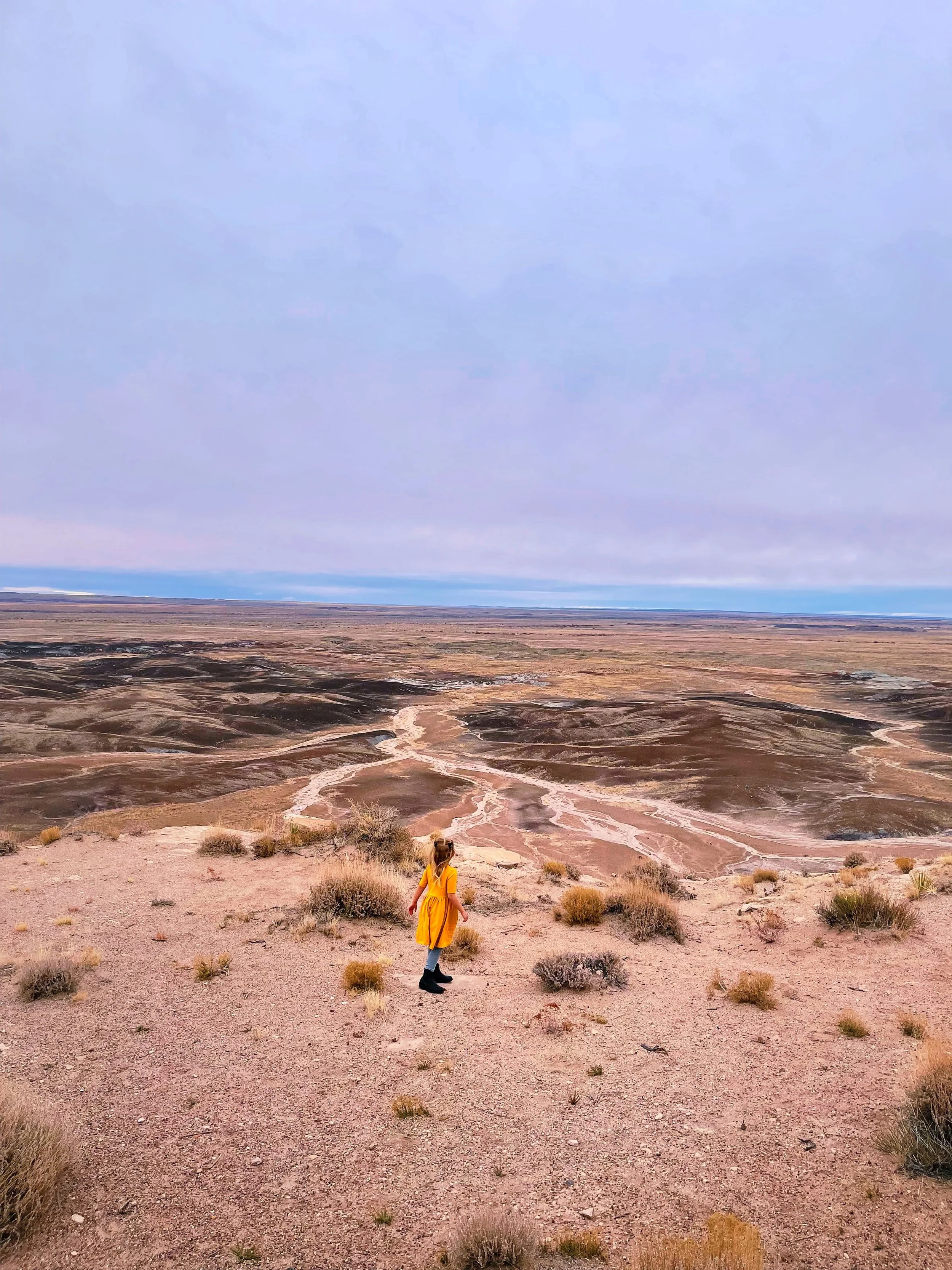 PetrifiedForest.JPG