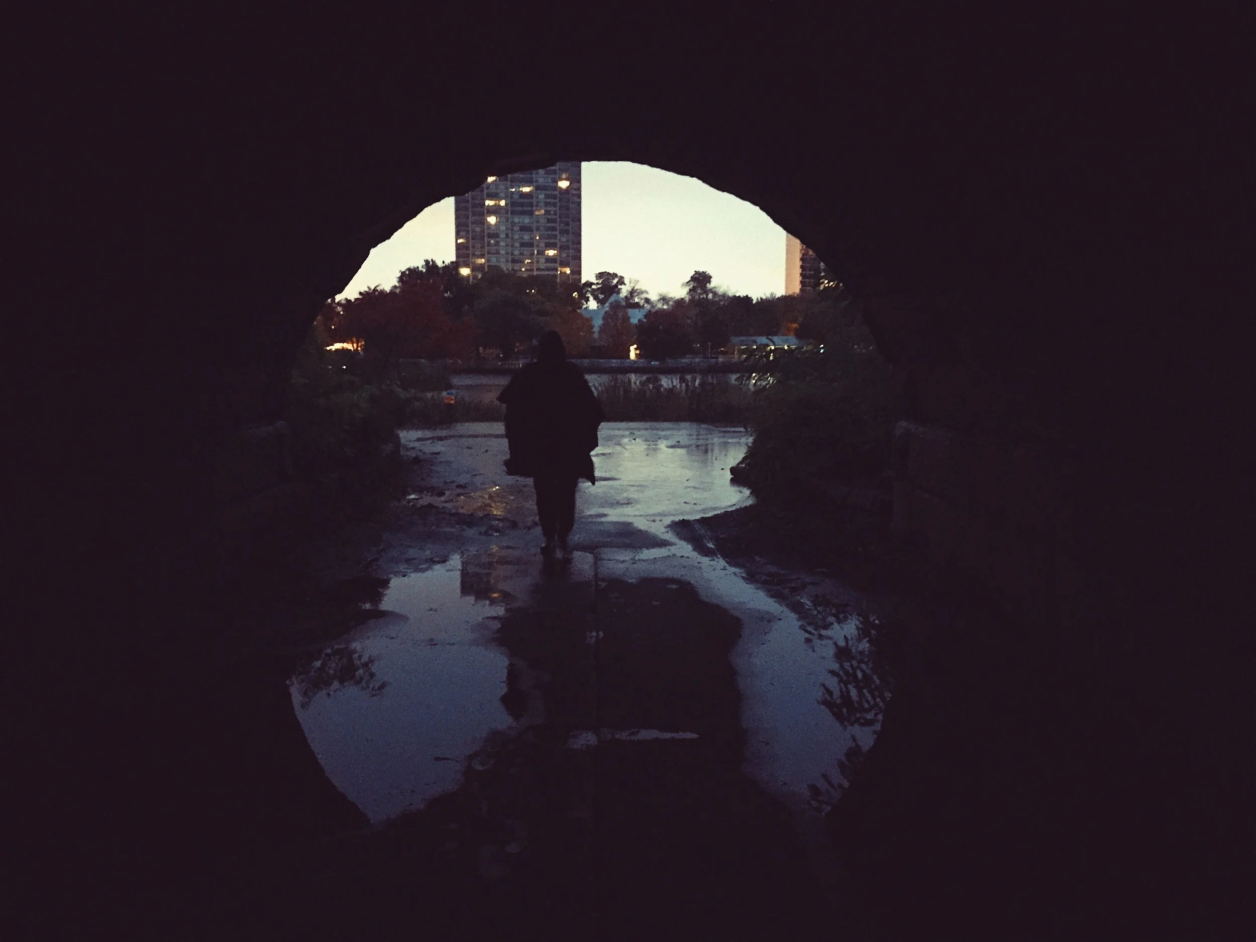 lincolnparktunnel.JPG