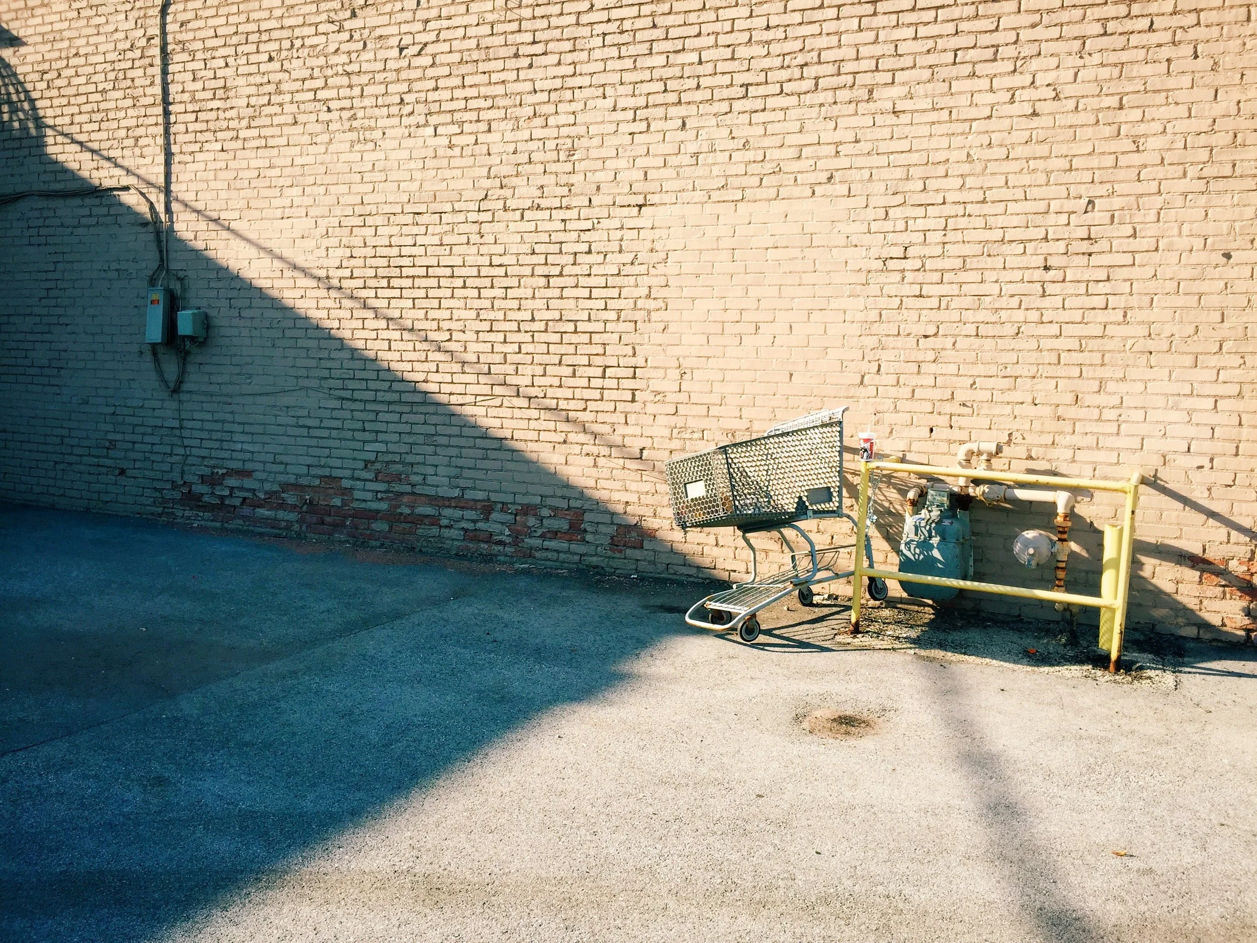 shoppingcart20162.JPG