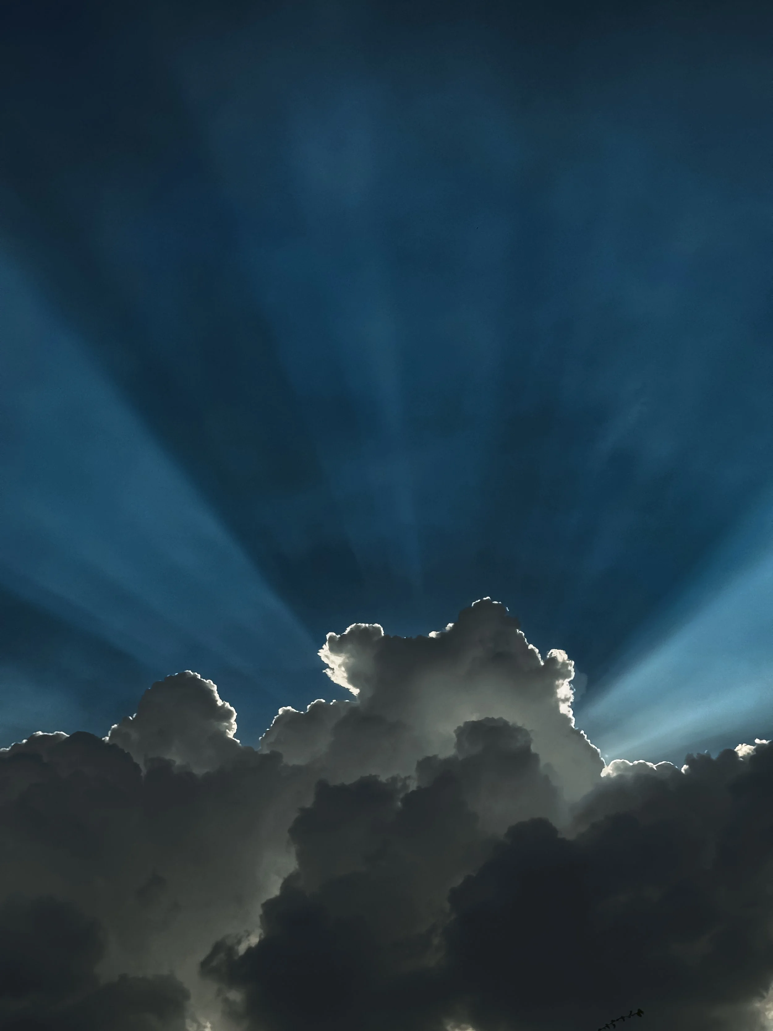 sunburst.jpg