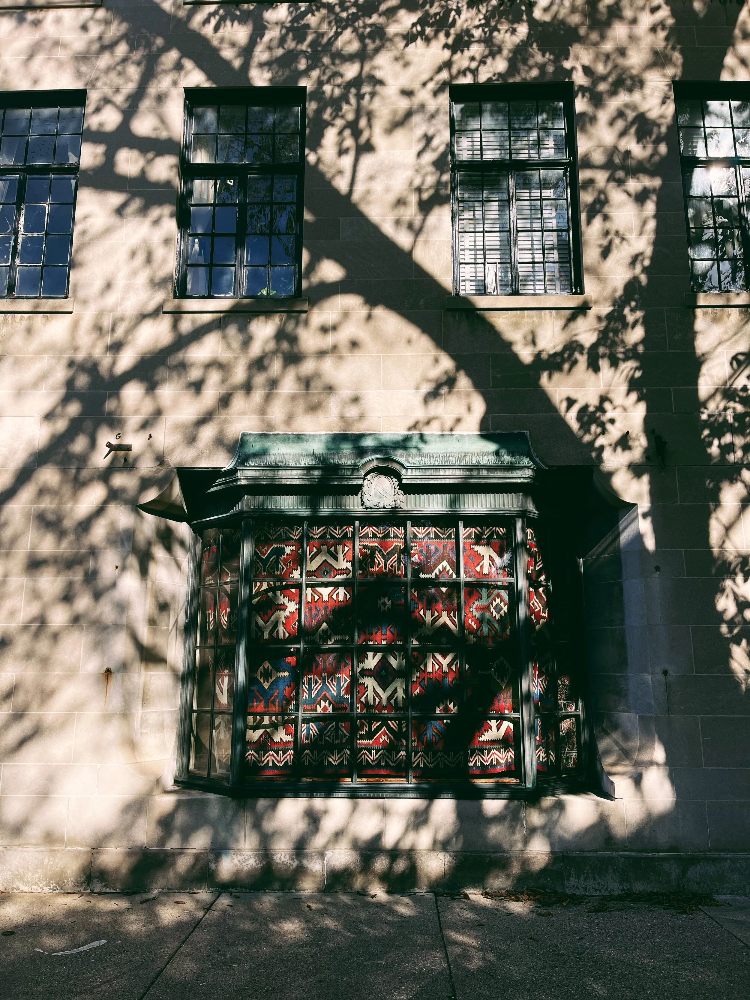 evanstonwalltree.jpg