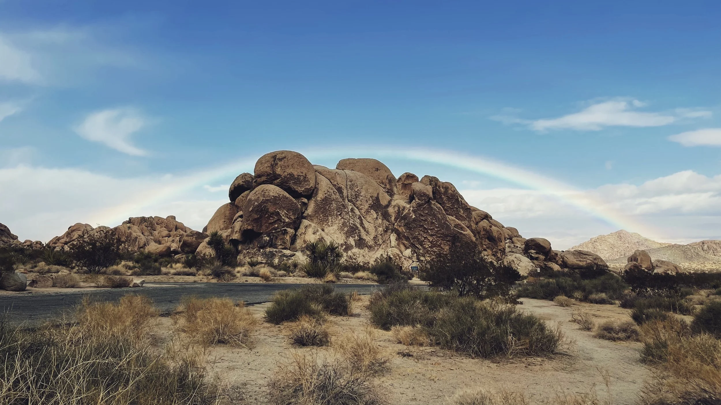 joshuatreerainbow.jpg