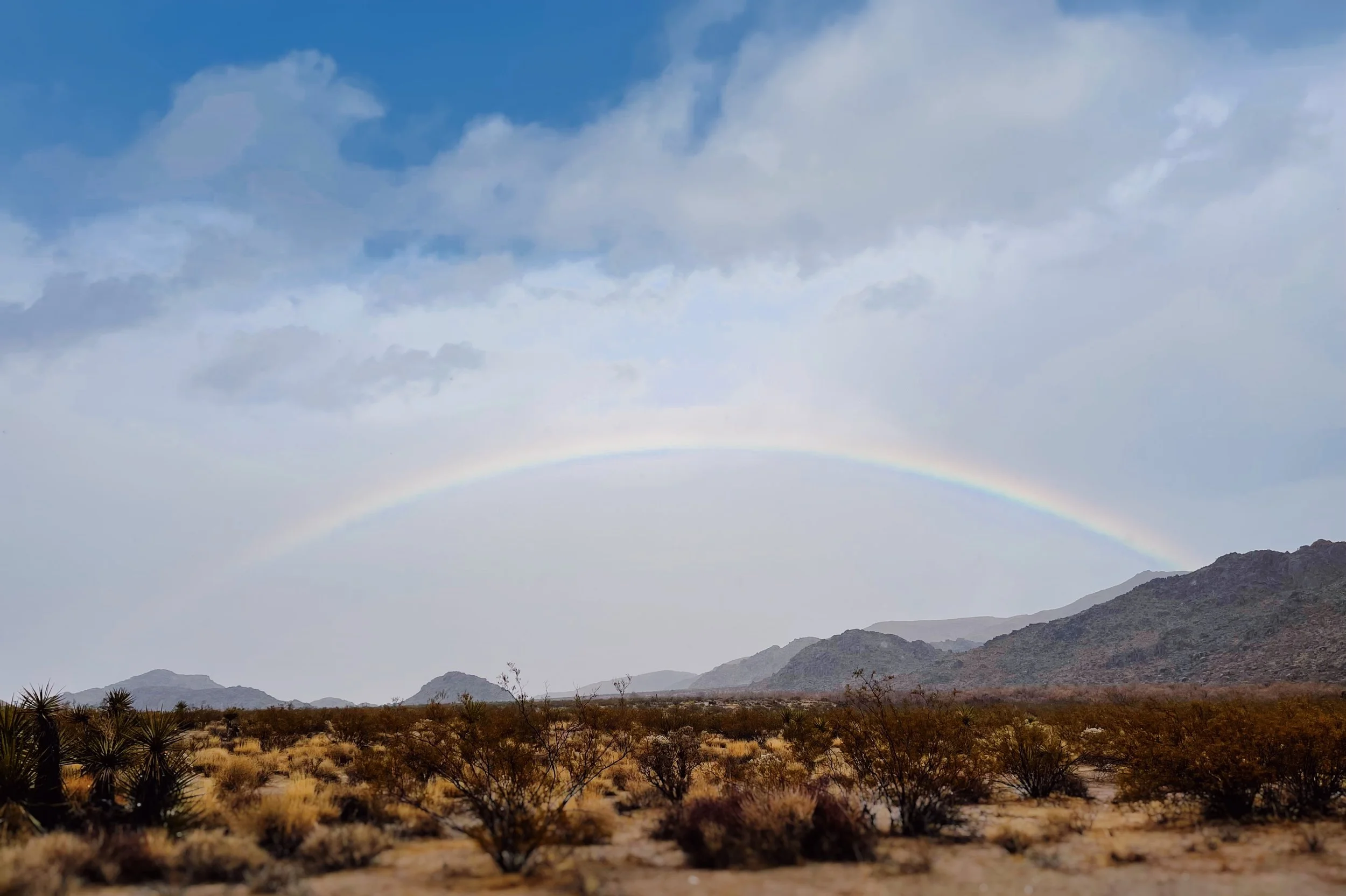 joshuatreerainbow2.jpg