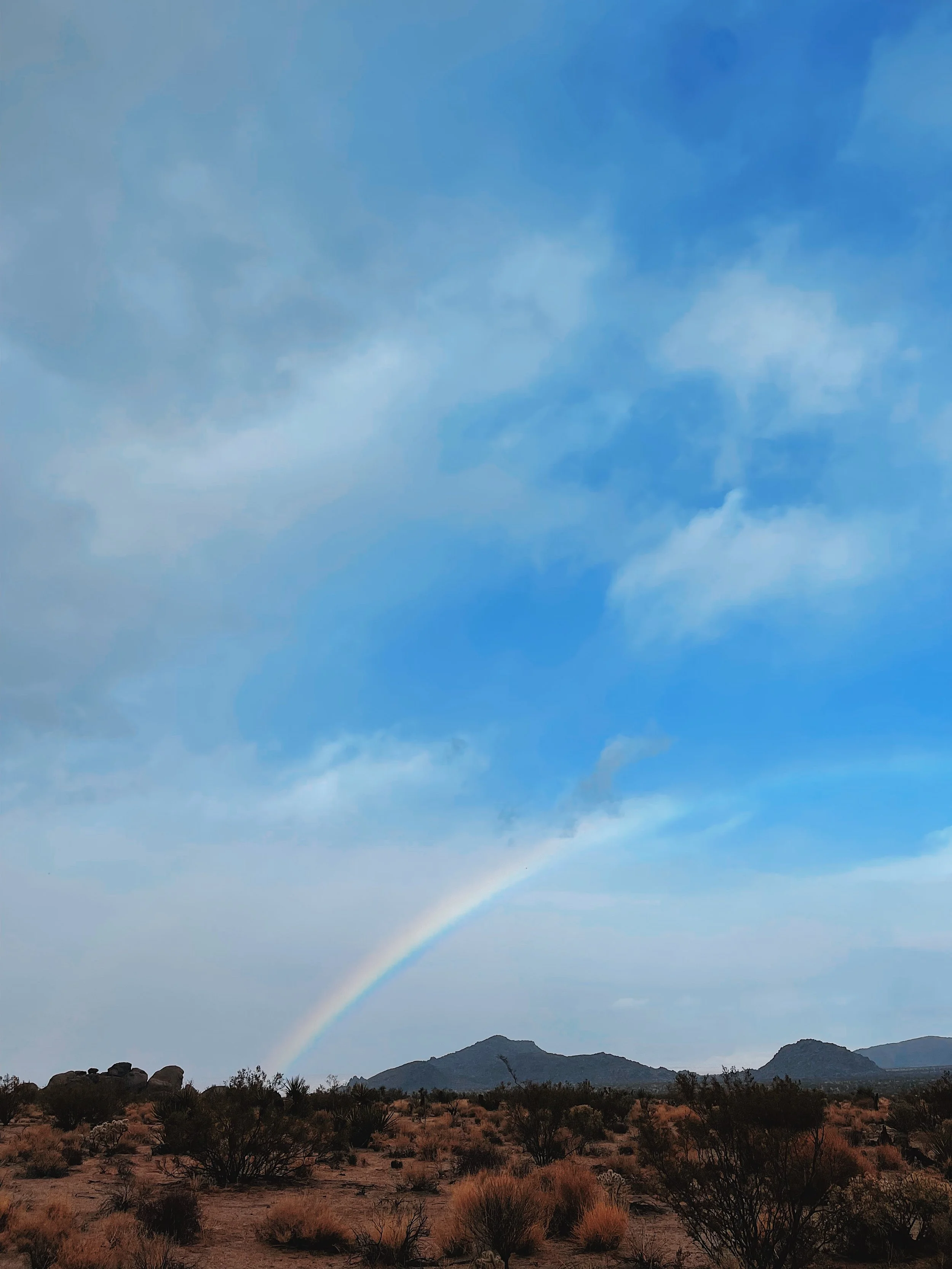 joshuatreerainbow3.jpg