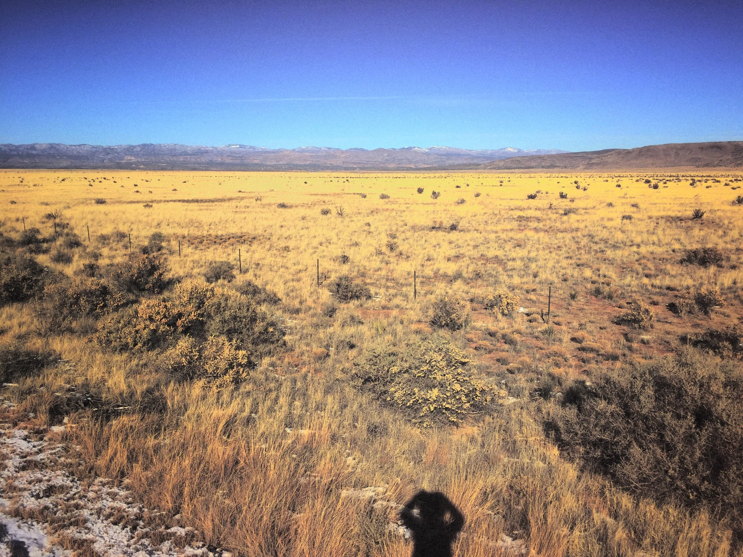 newmexicoshadow.JPG