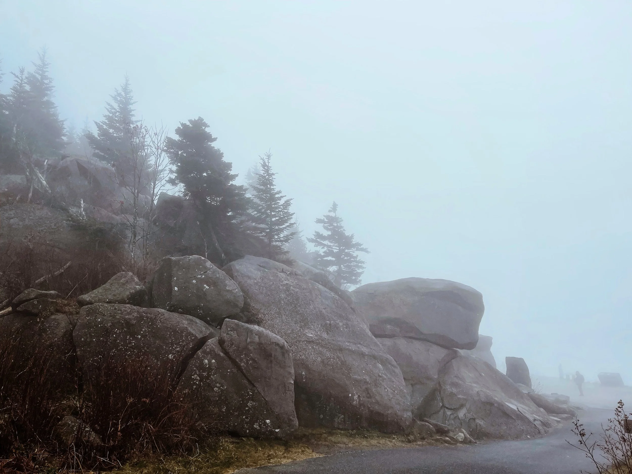 smokies.JPG