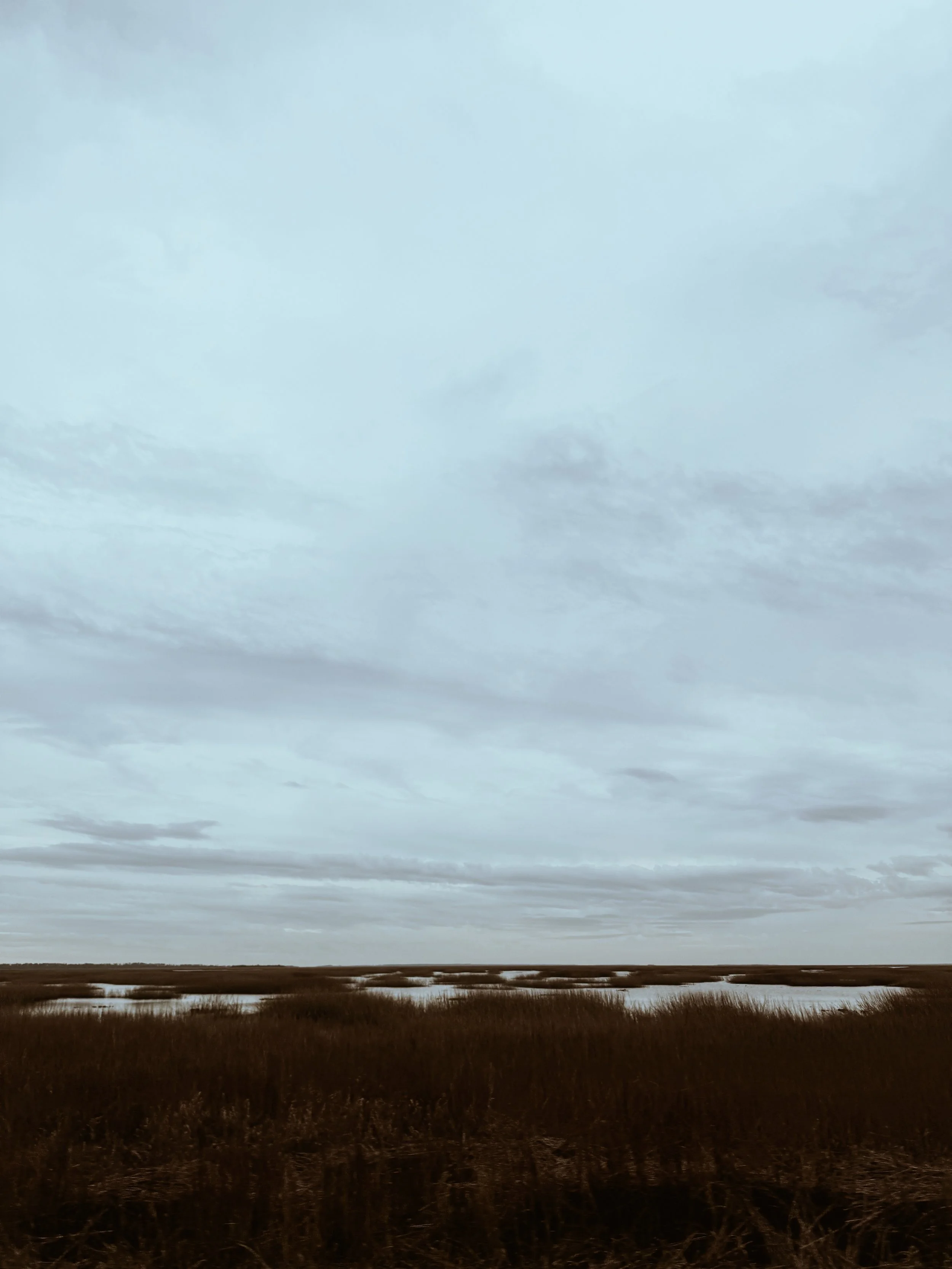 tybee.jpg