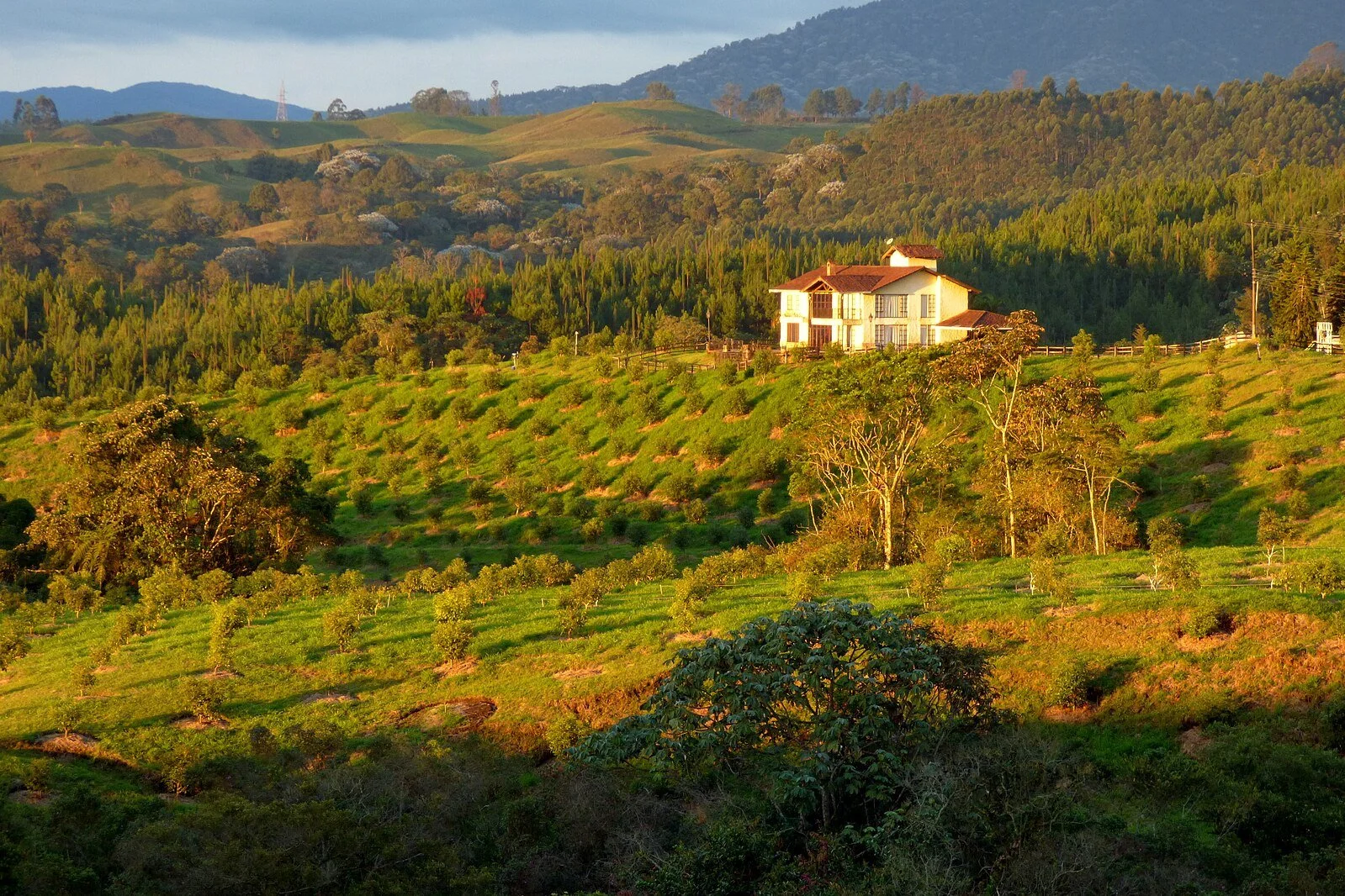 Atardecer_en_Filandia_(15600299245).jpg